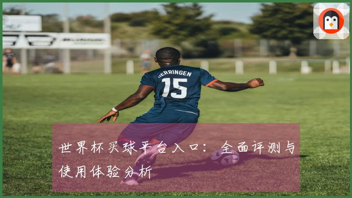 世界杯买球平台入口：全面评测与使用体验分析