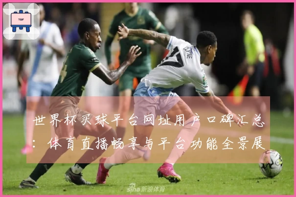 世界杯买球平台网址用户口碑汇总：体育直播畅享与平台功能全景展示