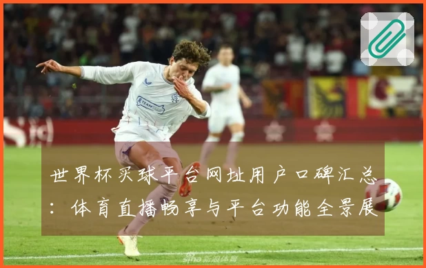 世界杯买球平台网址用户口碑汇总：体育直播畅享与平台功能全景展示
